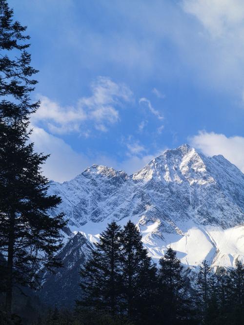 站群seo怎么运营